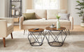 VASAGLE Set de 2 mese de cafea, stil industrial, 50x40cm si 40x36cm, maro rustic si negru