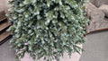 Brad artificial Christmas Deluxe by Sersimo, Alaska Select verde argintiu, integral 3D, 180 cm