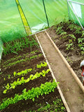 Sera de gradina, tip tunel cu cadru metalic, 400x800cm, verde, 32mp