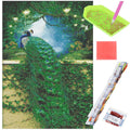 Set de broderie cu diamante 5D, 30x40cm, model Paun