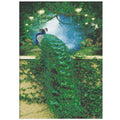 Set de broderie cu diamante 5D, 30x40cm, model Paun