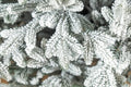 Brad artificial Christmas Deluxe by Sersimo, Alpin Select nins, integral 3D, 180cm