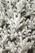 Brad artificial Christmas Deluxe by Sersimo, Viena Select nins, integral 3D, 180cm