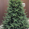 Brad artificial Christmas Deluxe by Sersimo, Royal Felara, 2D+3D, 250cm