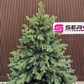 Brad artificial Christmas Deluxe by Sersimo, Royal Felara, 2D+3D, 250cm