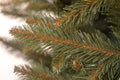 Brad artificial Christmas Deluxe by Sersimo, Royal, 180cm