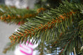 Brad artificial Christmas Deluxe by Sersimo, Royal, 150cm
