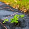 Folie agrotextil, mulcire, antiburuieni, filtru UV, 50 x 1.1metri, 70g/m2, negru