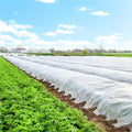 Folie agrotextil, mulcire, antiburuieni, filtru UV, 50 x 1.6metri, 70g/m2, alb