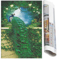 Set de broderie cu diamante 5D, 30x40cm, model Paun
