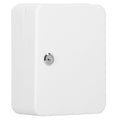 Cutie metalica din otel pentru 20 chei, echipata, 20x16x7.5cm, alba
