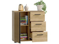 Comoda Montana 80 cu 3 sertare si 1 usa, 81x37x80 cm, negru si stejar craft