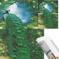 Set de broderie cu diamante 5D, 30x40cm, model Paun