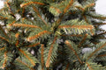 Brad artificial Christmas Deluxe by Sersimo, Royal, 150cm