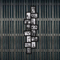 Rama foto de perete, colaj de 14 fotografii, 36x118cm, negru