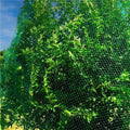 Plasa anti pasari 8x14m din polietilena, cu pini de fixare, verde
