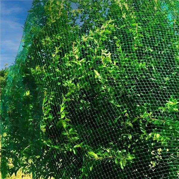 Plasa anti pasari 10x20m din polietilena, cu pini de fixare, verde