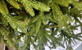 Brad artificial Christmas Deluxe by Sersimo, Nature, 2D+3D, 230cm