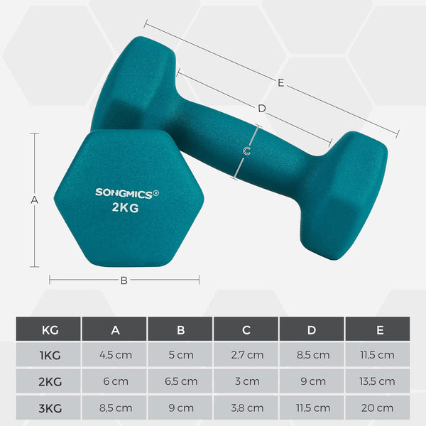 SONGMICS Set de 6 gantere hexagonale cu suport, 2x1kg 2x2kg 2x3 kg, multicolor