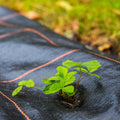 Folie agrotextil, mulcire, antiburuieni, filtru UV, 100 x 1.6metri, 90g/m2, negru