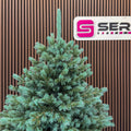 Brad artificial Christmas Deluxe by Sersimo, Alaska Select verde argintiu, integral 3D, 180 cm