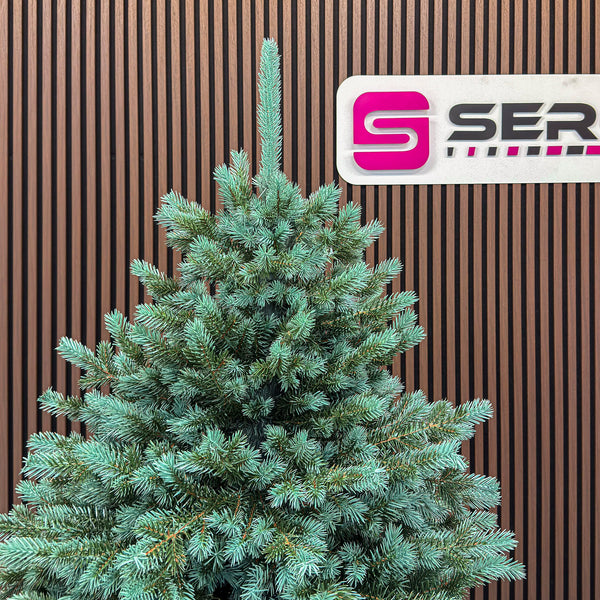 Brad artificial Christmas Deluxe by Sersimo, Alaska Select verde argintiu, integral 3D, 180 cm