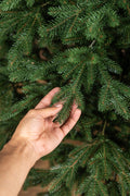 Brad artificial Christmas Deluxe by Sersimo, Alpin Select, integral 3D, 180cm
