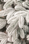 Brad artificial Christmas Deluxe by Sersimo, Laponia Select nins, integral 3D, 230cm