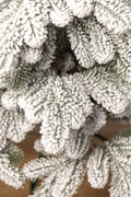 Brad artificial Christmas Deluxe by Sersimo, Kovalivka Select nins, integral 3D, 230cm