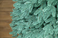 Brad artificial Christmas Deluxe by Sersimo, Laponia Select argintiu, integral 3D, 230cm