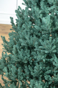 Brad artificial Christmas Deluxe by Sersimo, Viena Select argintiu, integral 3D, 230cm
