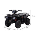 Leziter Quad electric negru