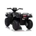 Leziter Quad electric negru