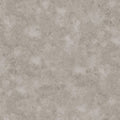 Leziter Pardoseală SPC din vinil gri cu aspect de piatră Leziter Reno, 1220x180x5 mm, 1,976/cs