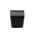 Leziter Roya Tina 82CHR set rezervor de toaletă de perete negru