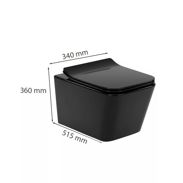 Leziter Roya Tina 82CHR set rezervor de toaletă de perete negru