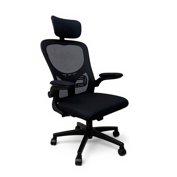 Leziter Scaun de birou ergonomic Flexo, pivotant, negru, cu suport lombar