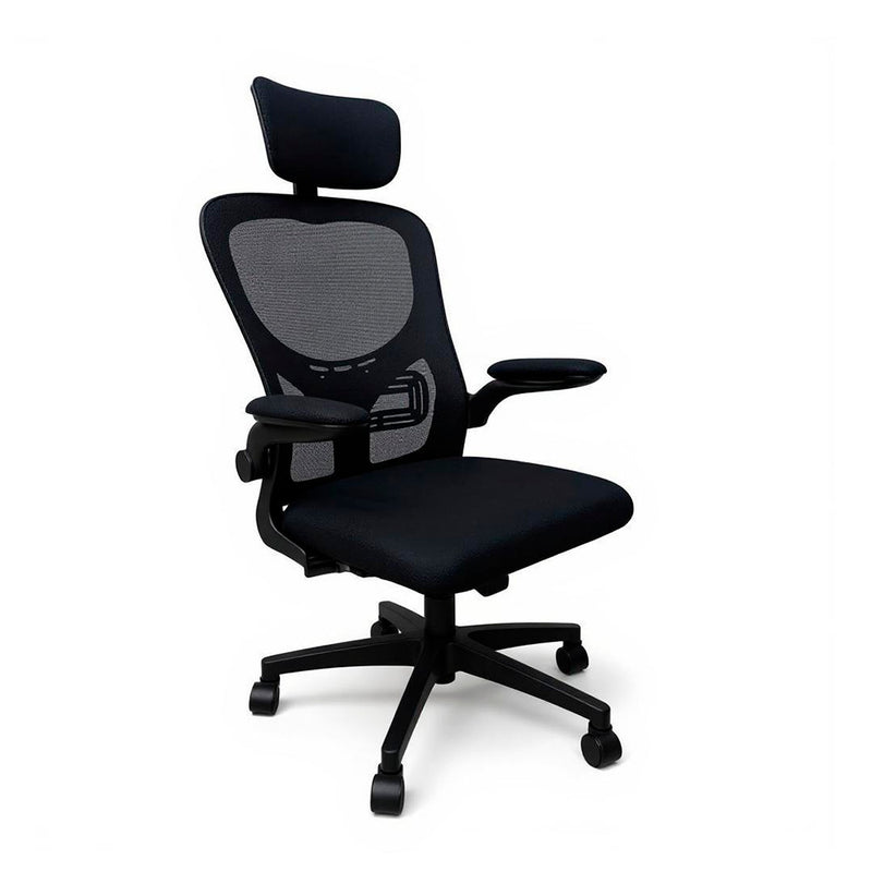 Leziter Scaun de birou ergonomic Flexo, pivotant, negru, cu suport lombar