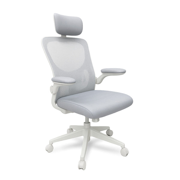 Leziter Scaun de birou ergonomic Flexo cu suport lombar, alb