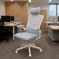 Leziter Scaun de birou ergonomic Flexo cu suport lombar, alb
