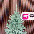 Brad artificial Christmas Deluxe by Sersimo, Viena Select argintiu, integral 3D, 230cm