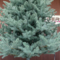 Brad artificial Christmas Deluxe by Sersimo, Viena Select argintiu, integral 3D, 230cm