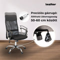 Leziter Scaun rotativ ergonomic de birou Fit, negru