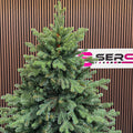 Brad artificial Christmas Deluxe by Sersimo, Royal Felara, 2D+3D, 250cm