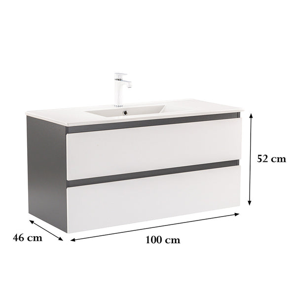 Leziter Masca chiuveta baie Vario Forte 100 cu lavoar, antracit-alb